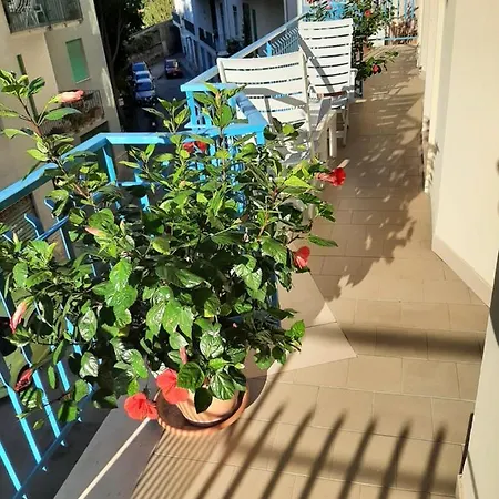 L'ammonite Couette-café