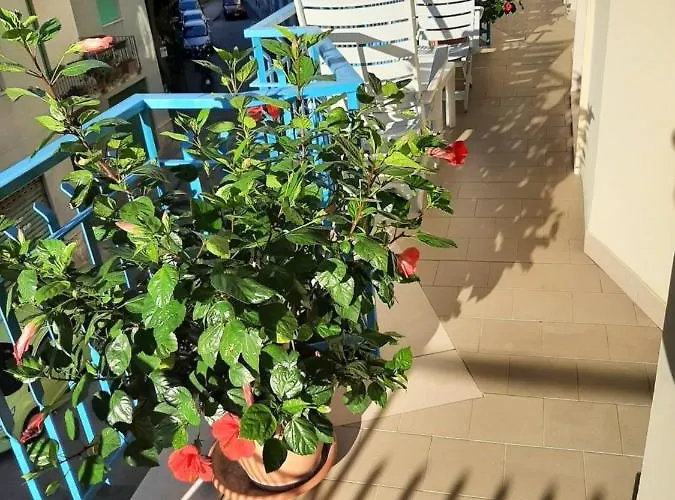 L'ammonite Couette-café